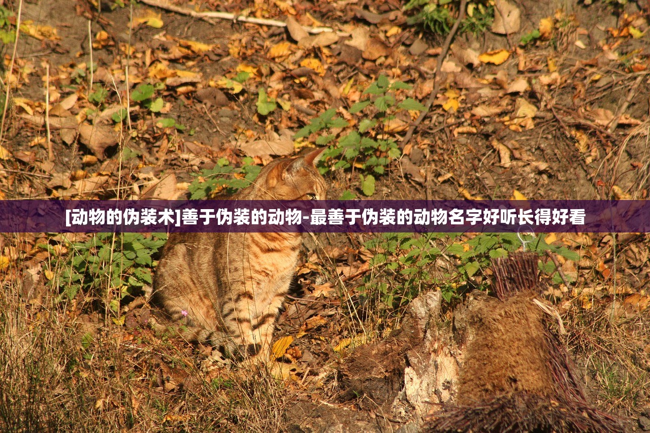 [动物的伪装术]善于伪装的动物-最善于伪装的动物名字好听长得好看