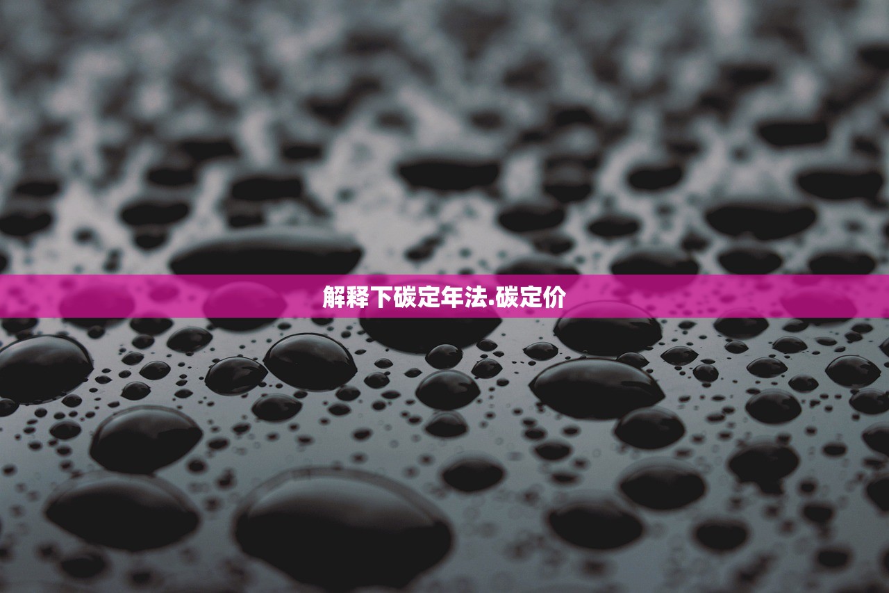 解释下碳定年法.碳定价