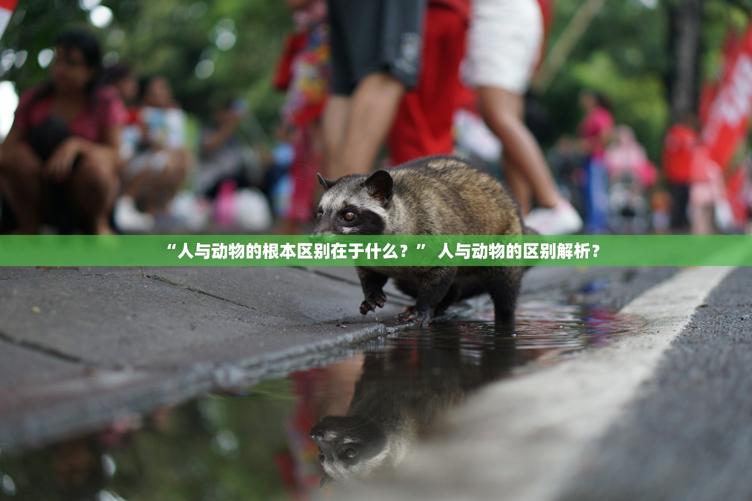 “人与动物的根本区别在于什么？	” 人与动物的区别解析？