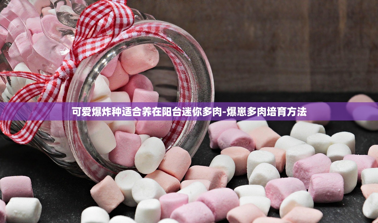 可爱爆炸种适合养在阳台迷你多肉-爆崽多肉培育方法 可爱爆炸种适合养在阳台迷你多肉-爆崽多肉培育方法