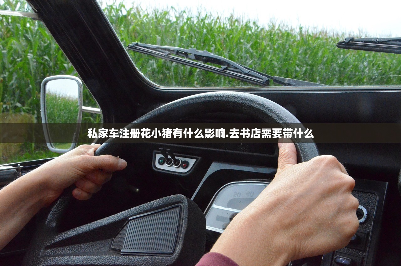 私家车注册花小猪有什么影响.去书店需要带什么