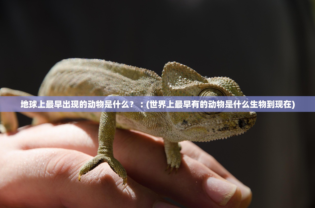 地球上最早出现的动物是什么？︰(世界上最早有的动物是什么生物到现在)