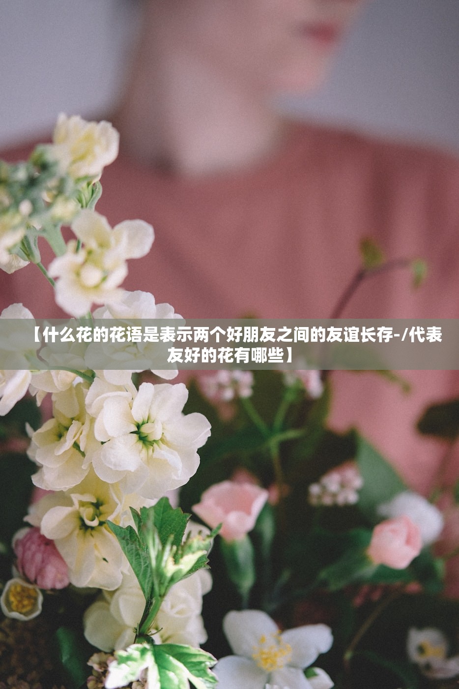 【什么花的花语是表示两个好朋友之间的友谊长存-/代表友好的花有哪些】