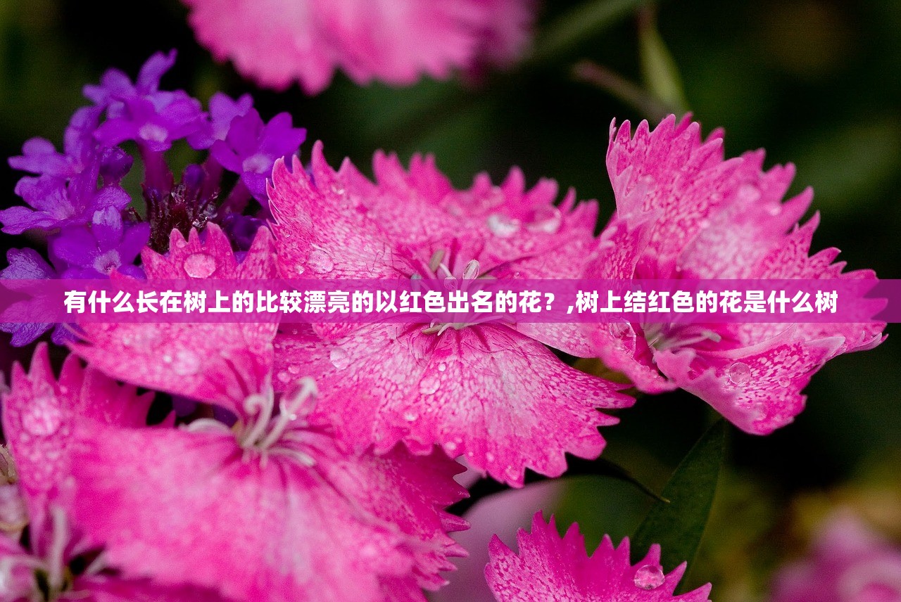 有什么长在树上的比较漂亮的以红色出名的花？,树上结红色的花是什么树