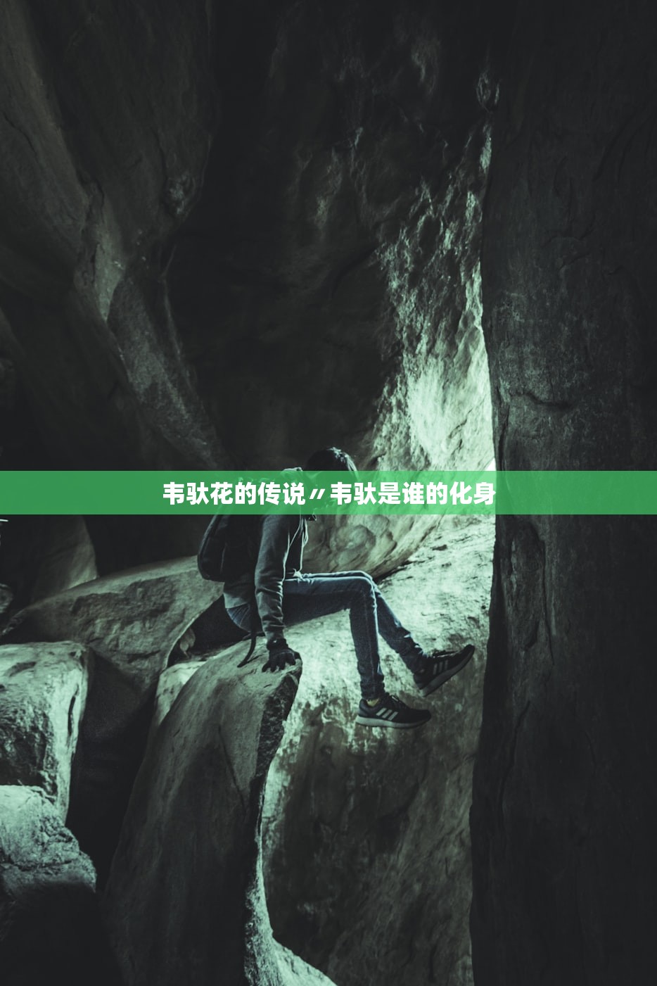 韦驮花的传说〃韦驮是谁的化身