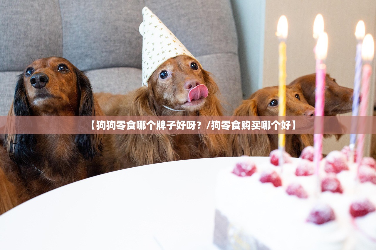【狗狗零食哪个牌子好呀?/狗零食购买哪个好】 【狗狗零食哪个牌子好呀?/狗零食购买哪个好】