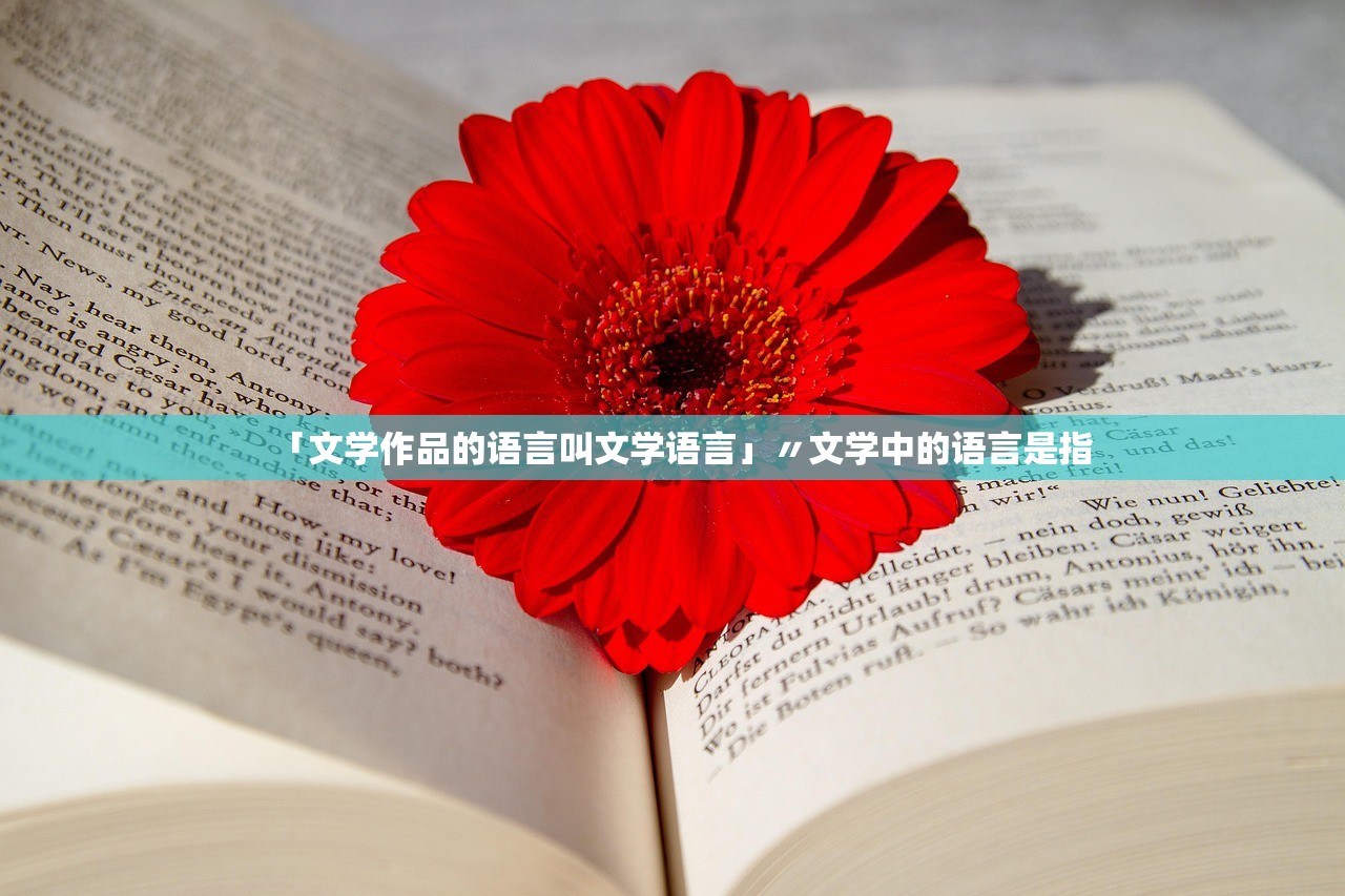 「文学作品的语言叫文学语言」〃文学中的语言是指 「文学作品的语言叫文学语言」〃文学中的语言是指
