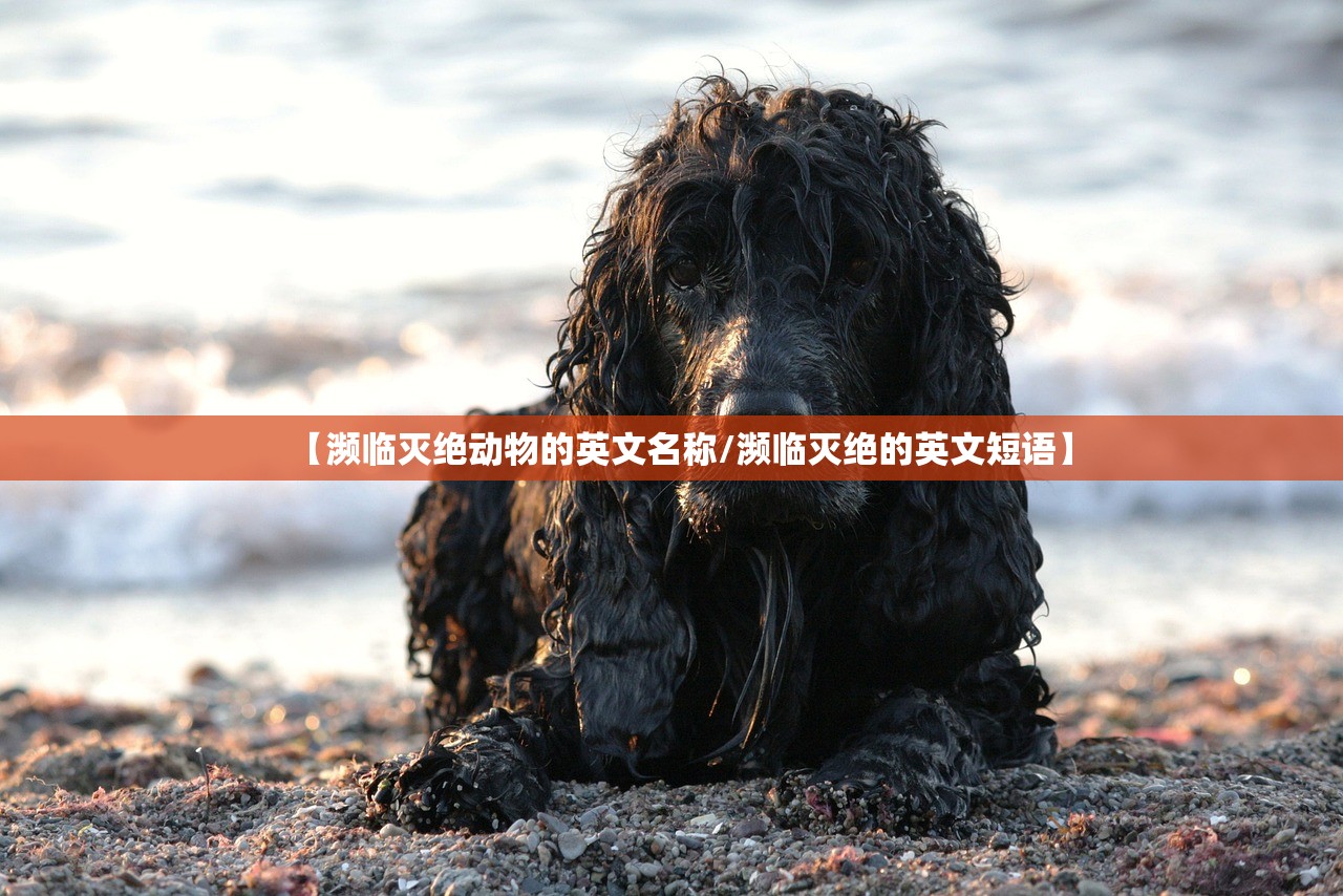 【濒临灭绝动物的英文名称/濒临灭绝的英文短语】 【濒临灭绝动物的英文名称/濒临灭绝的英文短语】