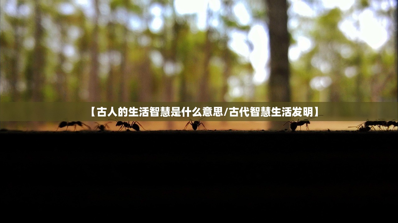【古人的生活智慧是什么意思/古代智慧生活发明】