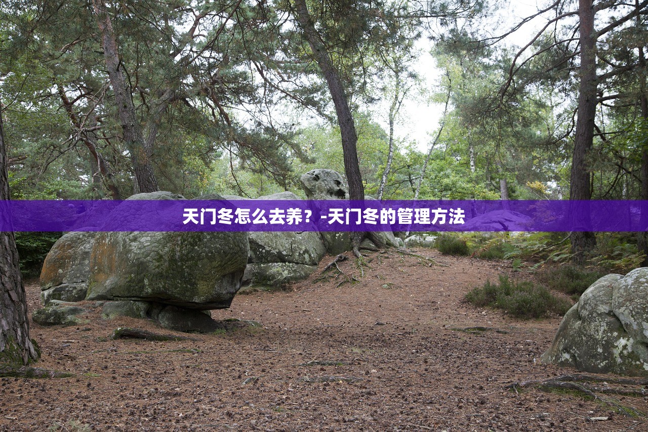 天门冬怎么去养？-天门冬的管理方法
