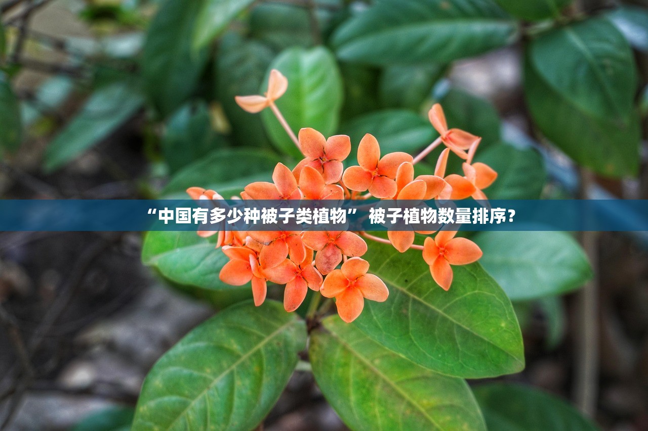 “中国有多少种被子类植物” 被子植物数量排序？