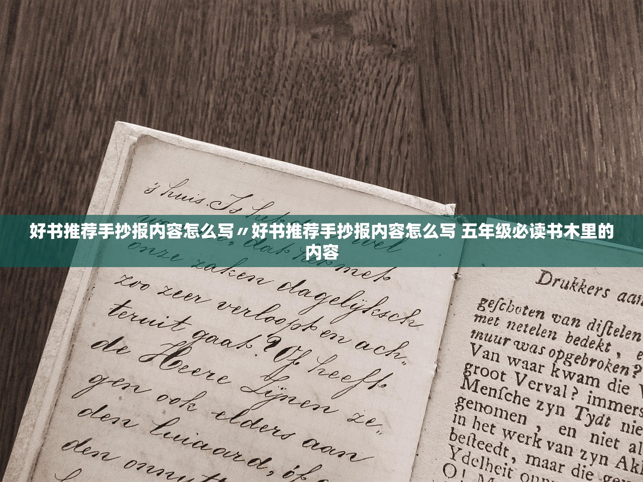 好书推荐手抄报内容怎么写〃好书推荐手抄报内容怎么写 五年级必读书木里的内容 好书推荐手抄报内容怎么写〃好书推荐手抄报内容怎么写 五年级必读书木里的内容