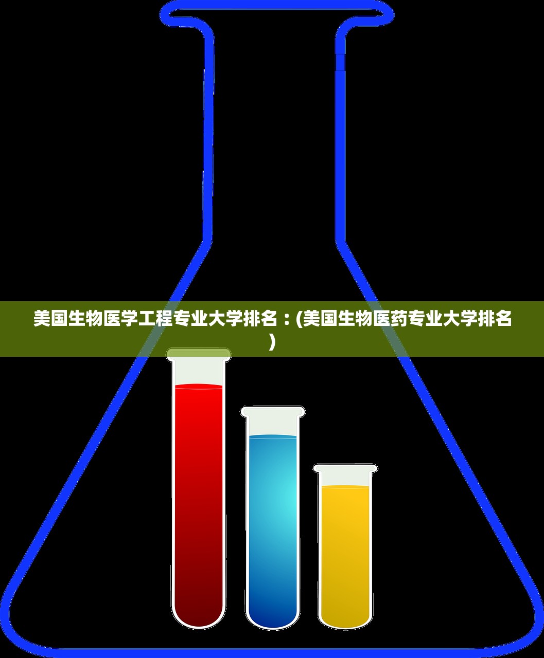 美国生物医学工程专业大学排名︰(美国生物医药专业大学排名)