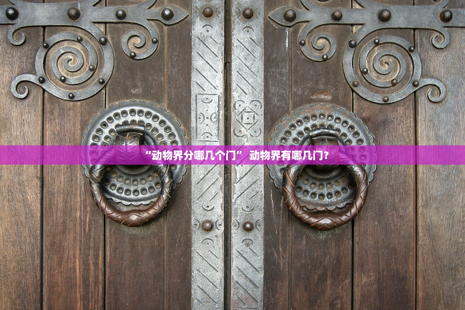 “动物界分哪几个门” 动物界有哪几门？