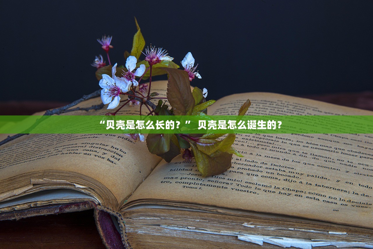“贝壳是怎么长的？” 贝壳是怎么诞生的？
