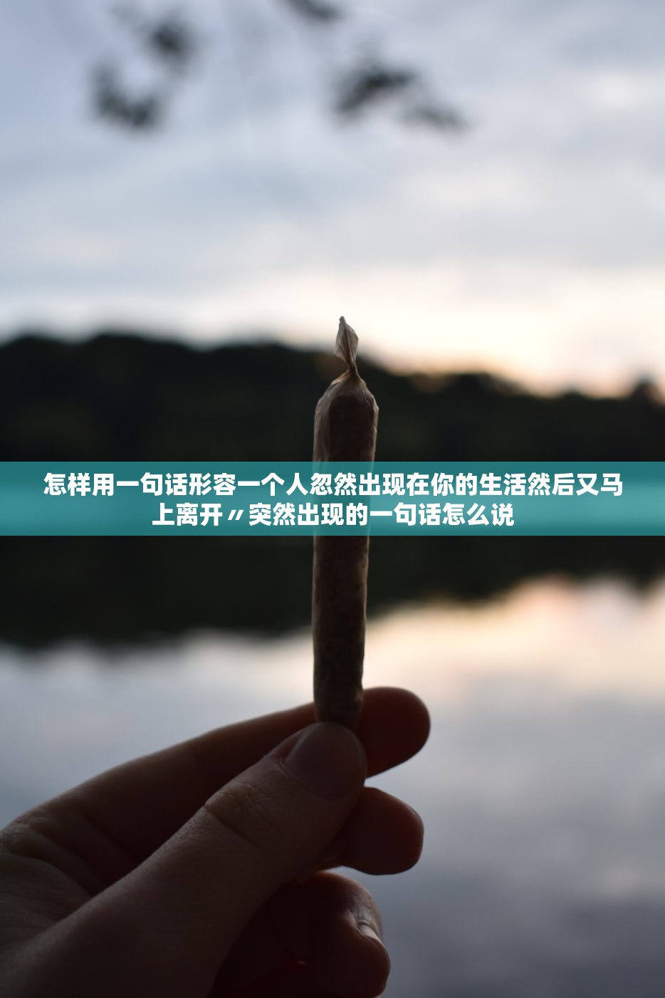 怎样用一句话形容一个人忽然出现在你的生活然后又马上离开〃突然出现的一句话怎么说