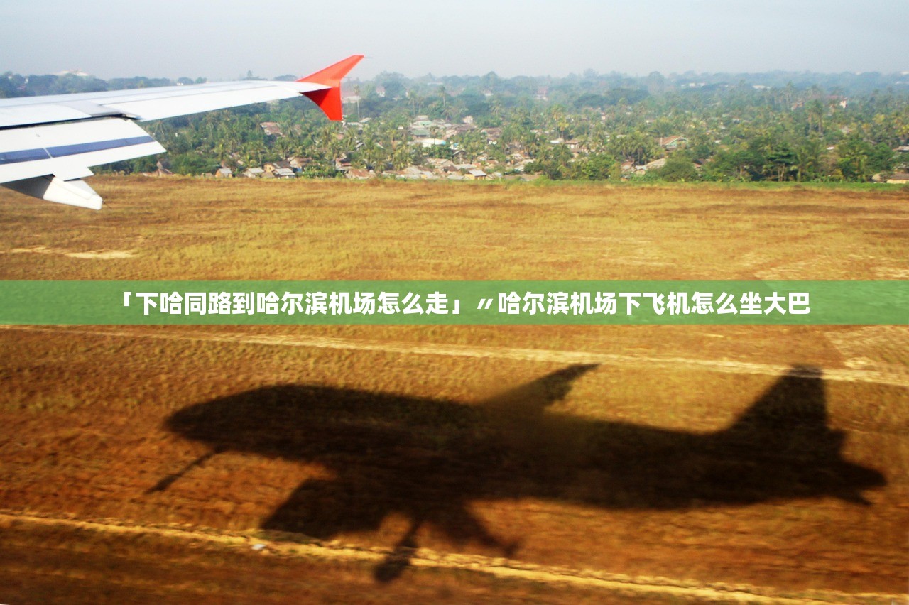 「下哈同路到哈尔滨机场怎么走」〃哈尔滨机场下飞机怎么坐大巴 「下哈同路到哈尔滨机场怎么走」〃哈尔滨机场下飞机怎么坐大巴