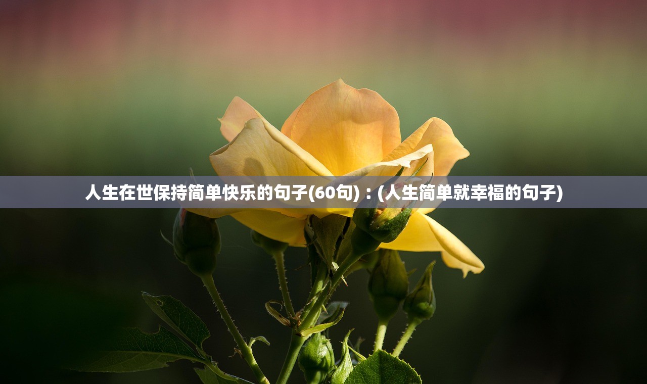 人生在世保持简单快乐的句子(60句)︰(人生简单就幸福的句子)