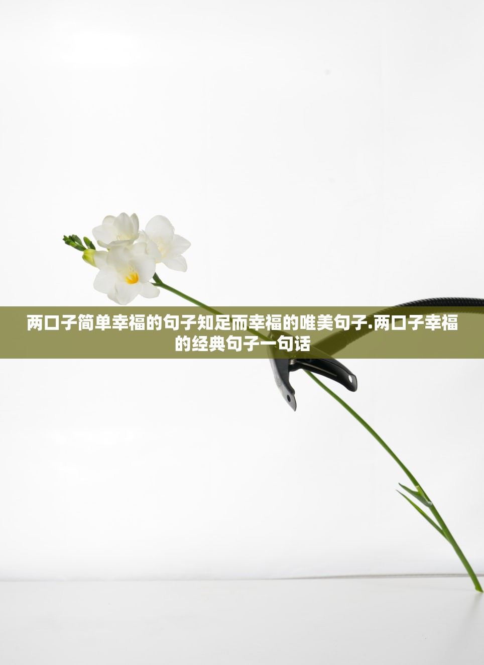 两口子简单幸福的句子知足而幸福的唯美句子.两口子幸福的经典句子一句话