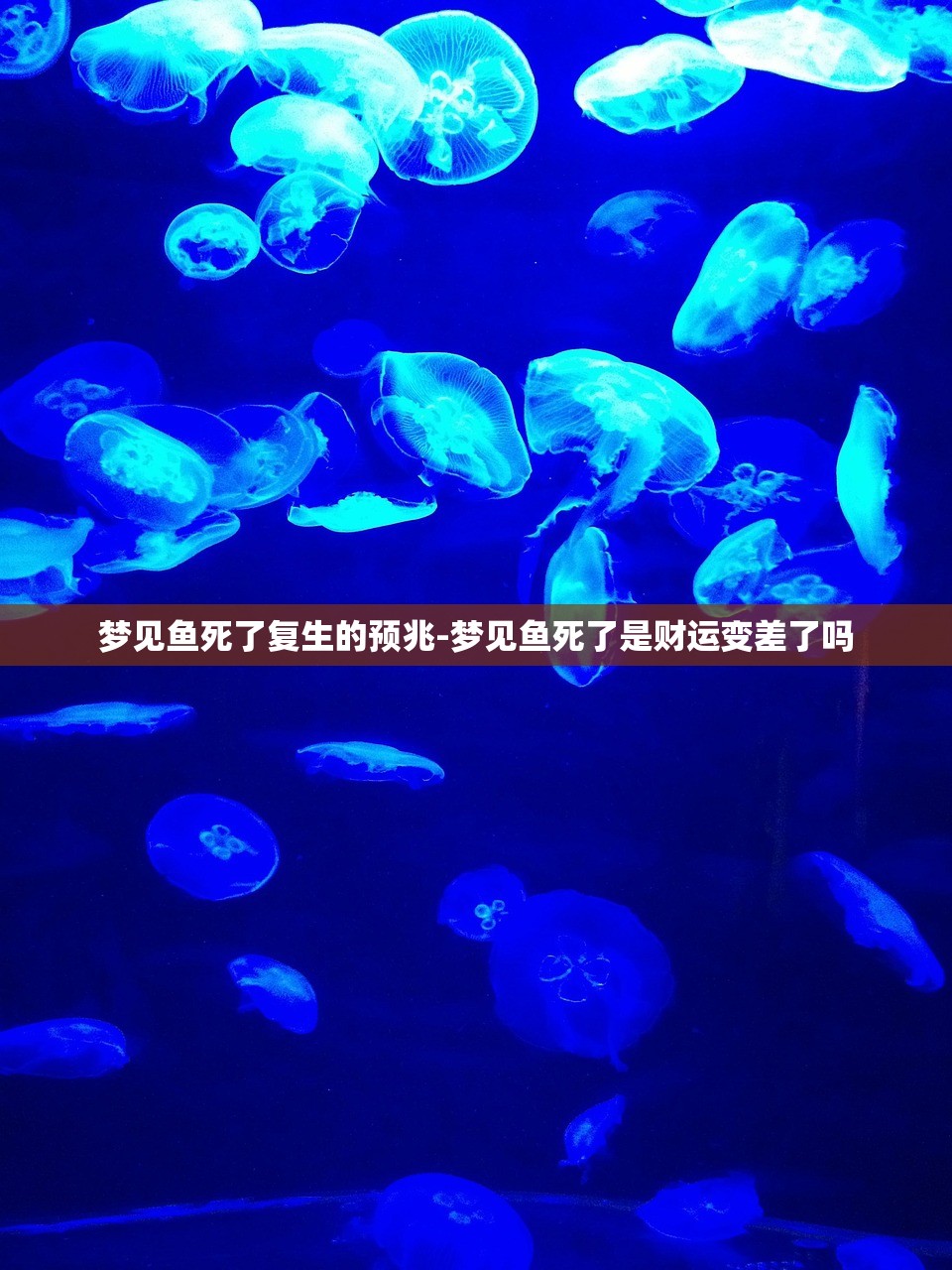 梦见鱼死了复生的预兆-梦见鱼死了是财运变差了吗 梦见鱼死了复生的预兆-梦见鱼死了是财运变差了吗