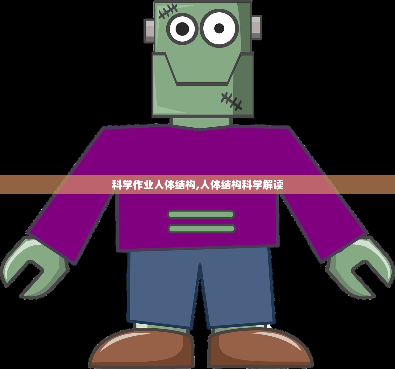 科学作业人体结构,人体结构科学解读