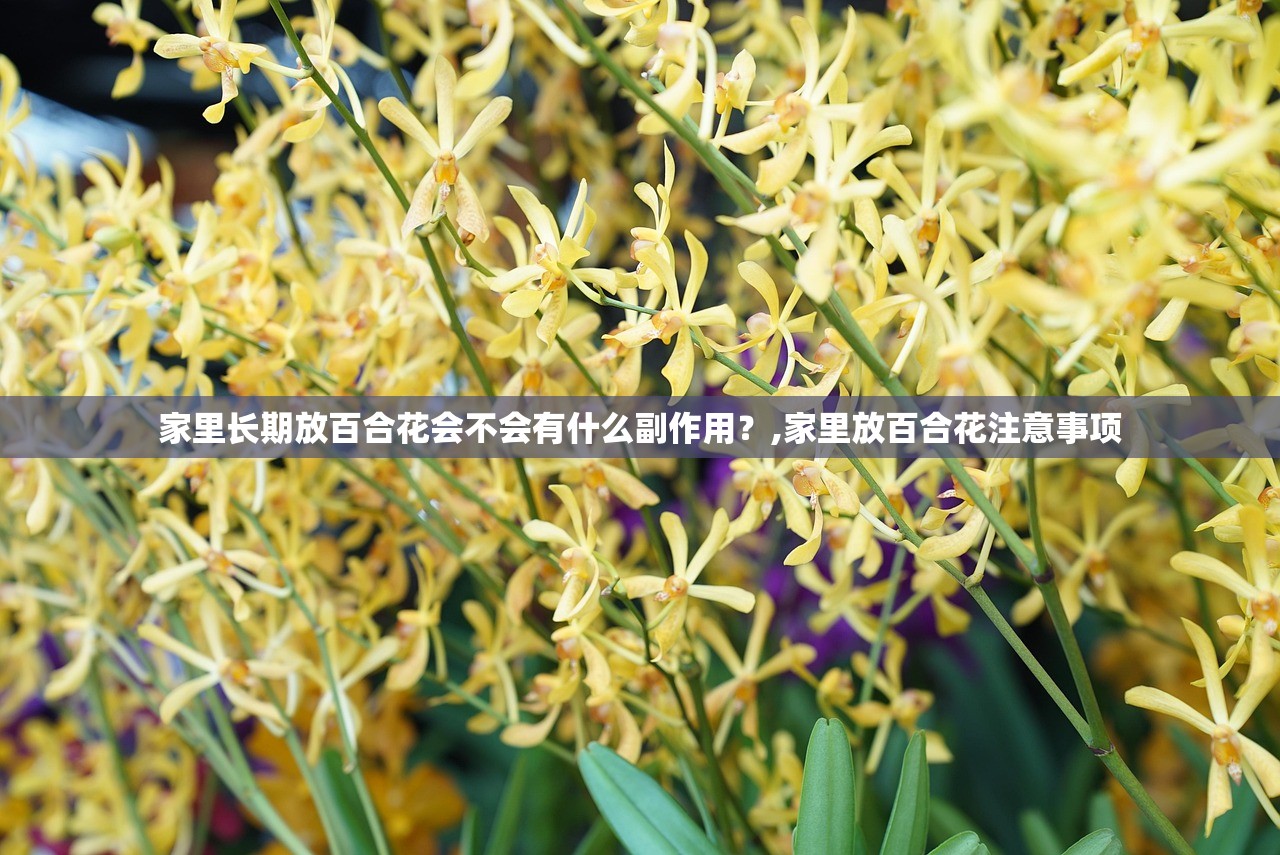 家里长期放百合花会不会有什么副作用？,家里放百合花注意事项