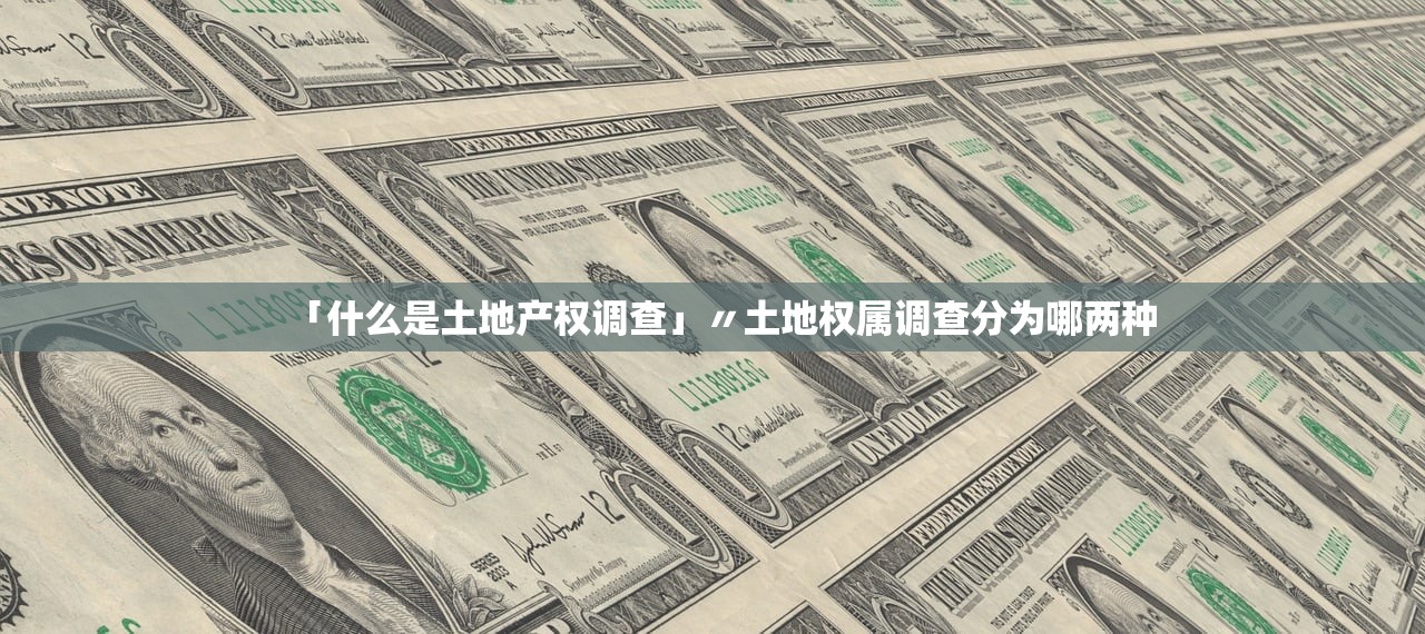 「什么是土地产权调查」〃土地权属调查分为哪两种 「什么是土地产权调查」〃土地权属调查分为哪两种