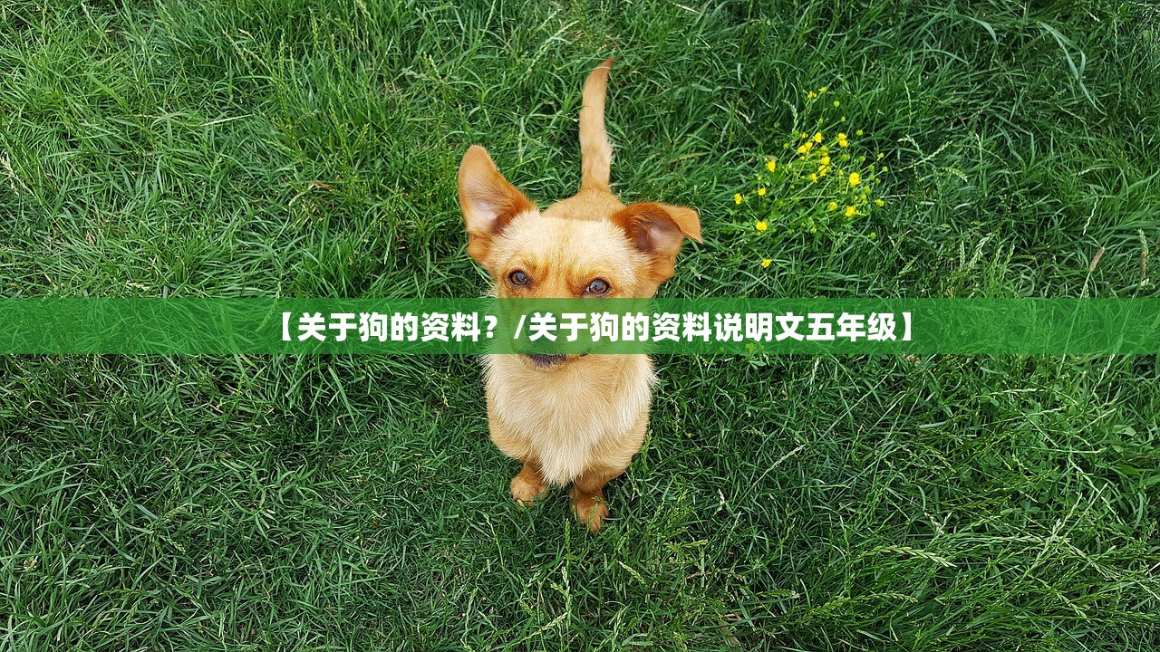 【关于狗的资料?/关于狗的资料说明文五年级】 【关于狗的资料?/关于狗的资料说明文五年级】