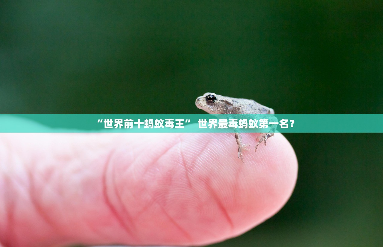 “世界前十蚂蚁毒王	” 世界最毒蚂蚁第一名？