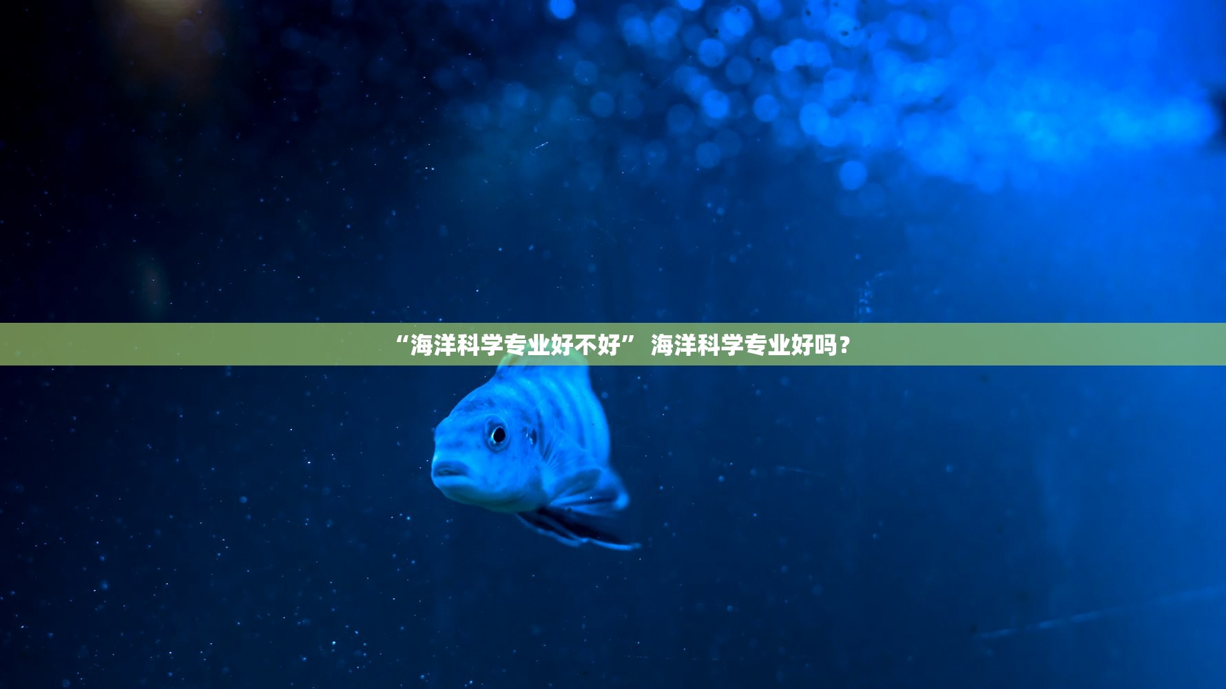 “海洋科学专业好不好” 海洋科学专业好吗？