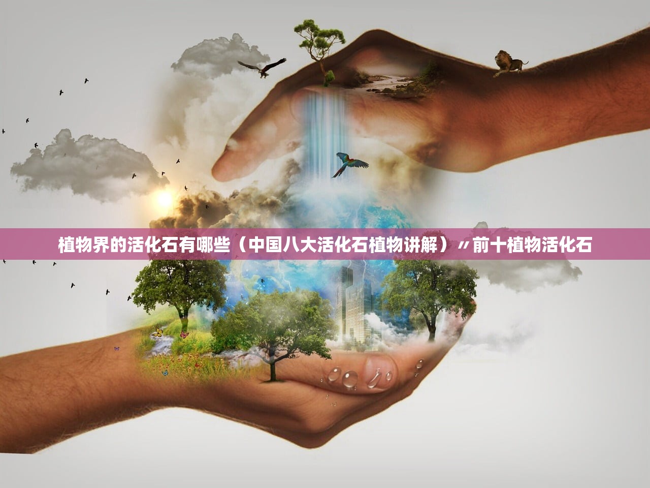 植物界的活化石有哪些(中国八大活化石植物讲解)〃前十植物活化石 植物界的活化石有哪些(中国八大活化石植物讲解)〃前十植物活化石