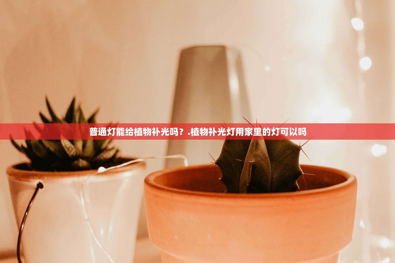 普通灯能给植物补光吗？.植物补光灯用家里的灯可以吗