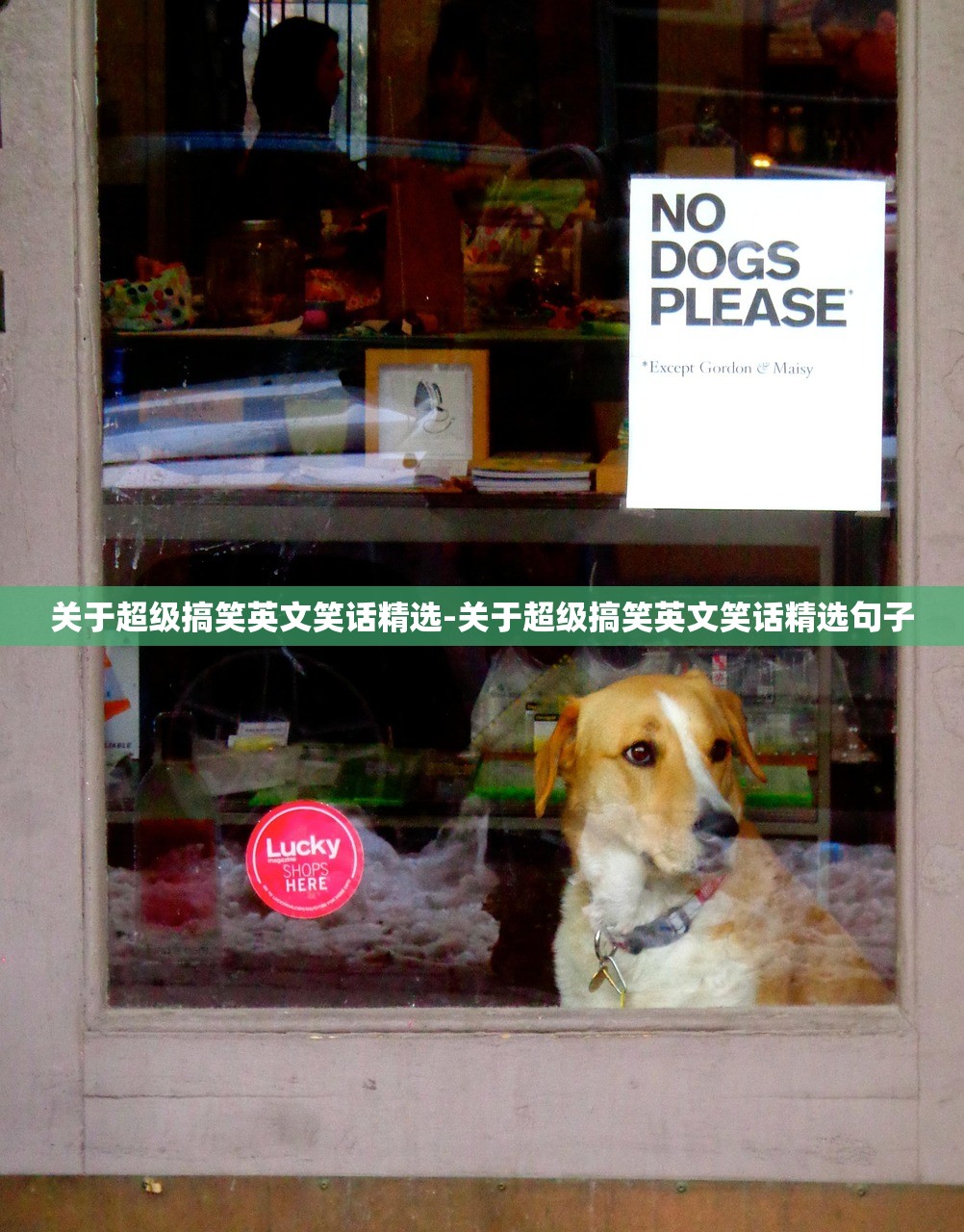 关于超级搞笑英文笑话精选-关于超级搞笑英文笑话精选句子