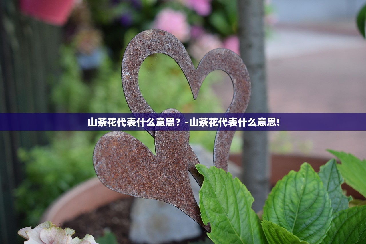 山茶花代表什么意思？-山茶花代表什么意思!