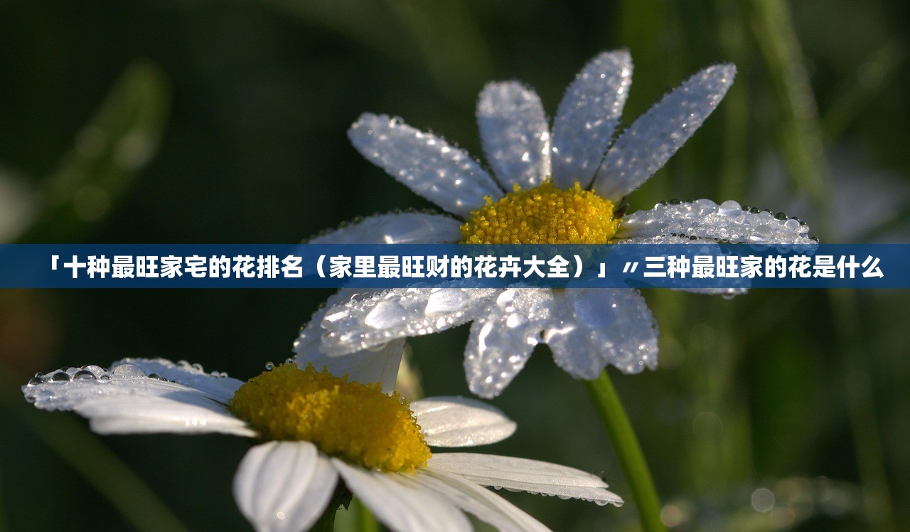 「十种最旺家宅的花排名（家里最旺财的花卉大全）」〃三种最旺家的花是什么