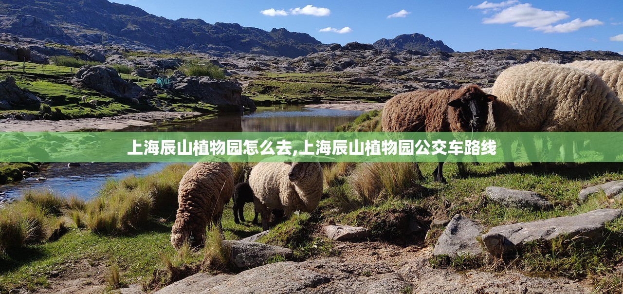 上海辰山植物园怎么去,上海辰山植物园公交车路线 上海辰山植物园怎么去,上海辰山植物园公交车路线