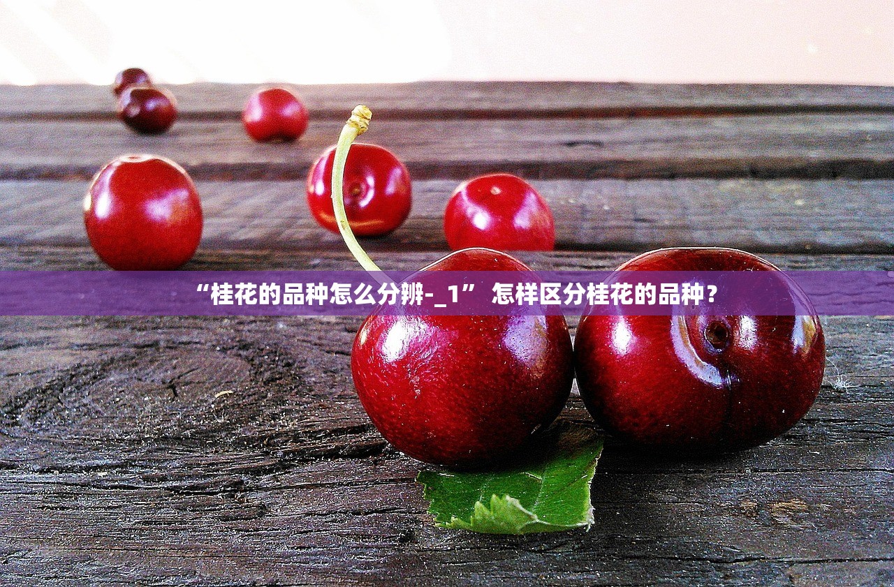 “桂花的品种怎么分辨-_1” 怎样区分桂花的品种？