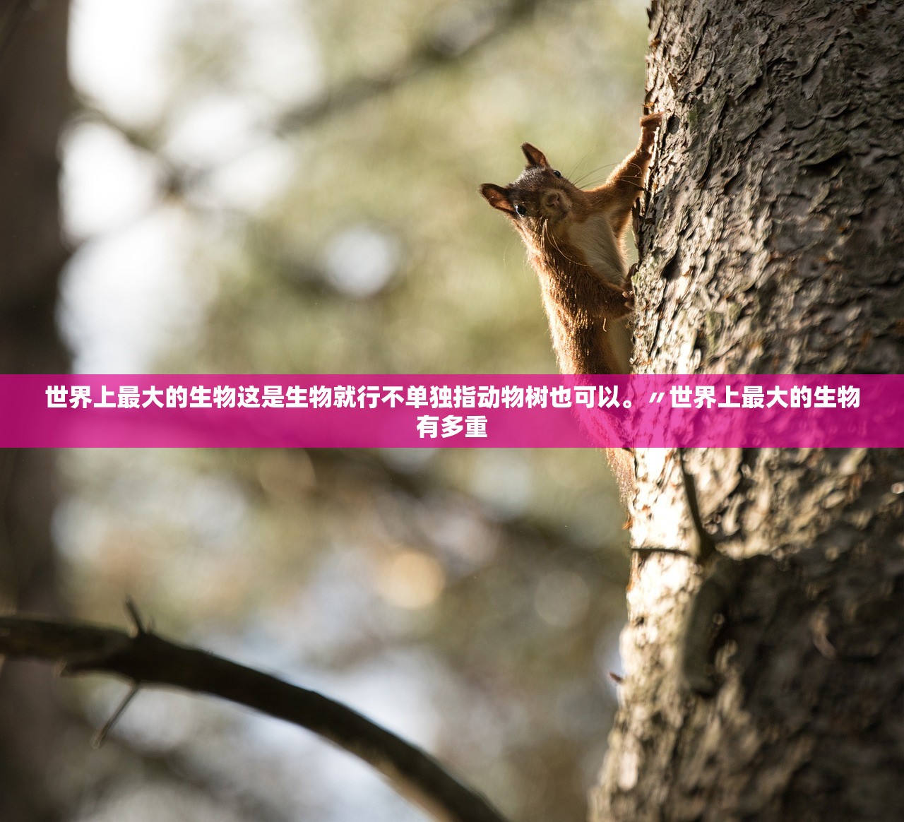 世界上最大的生物这是生物就行不单独指动物树也可以。〃世界上最大的生物有多重