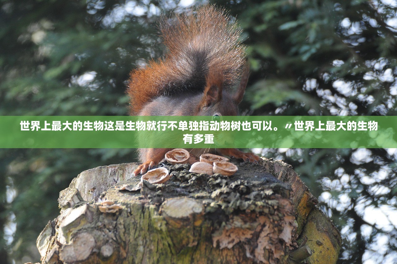 世界上最大的生物这是生物就行不单独指动物树也可以。〃世界上最大的生物有多重