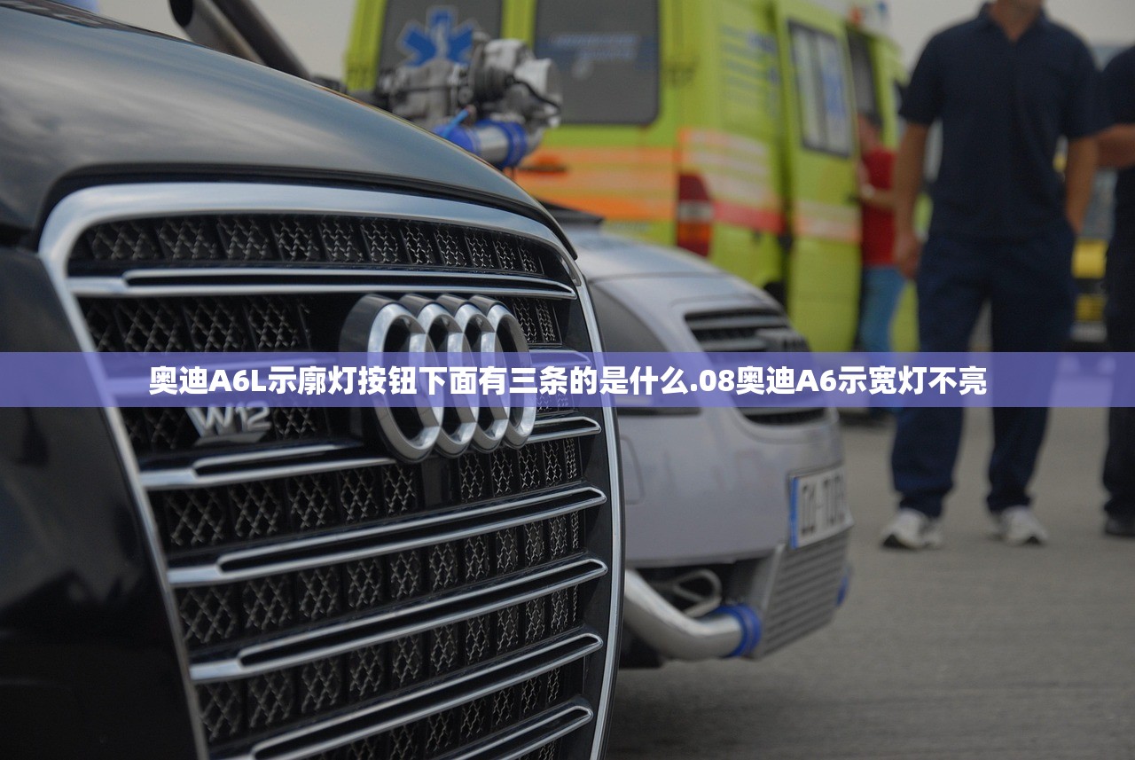 奥迪A6L示廓灯按钮下面有三条的是什么.08奥迪A6示宽灯不亮
