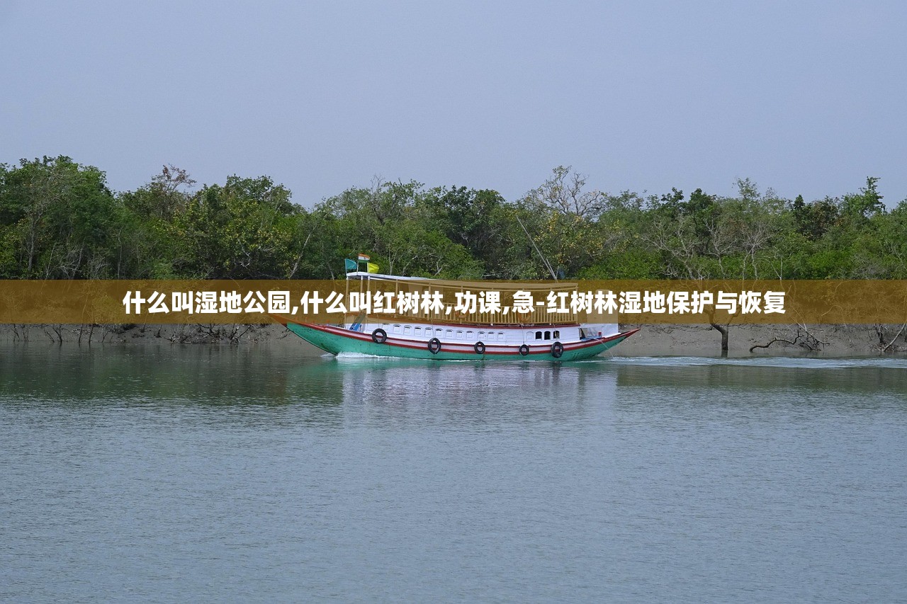 什么叫湿地公园,什么叫红树林,功课,急-红树林湿地保护与恢复 什么叫湿地公园,什么叫红树林,功课,急-红树林湿地保护与恢复