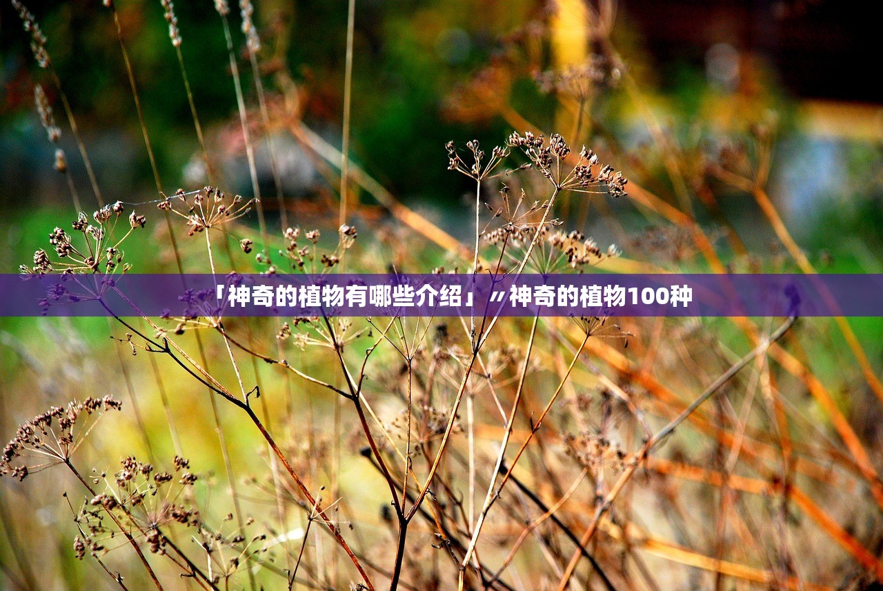 「神奇的植物有哪些介绍」〃神奇的植物100种