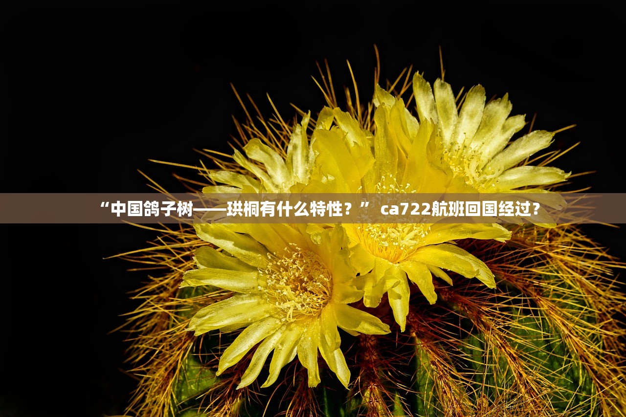 “中国鸽子树——珙桐有什么特性？	” ca722航班回国经过？