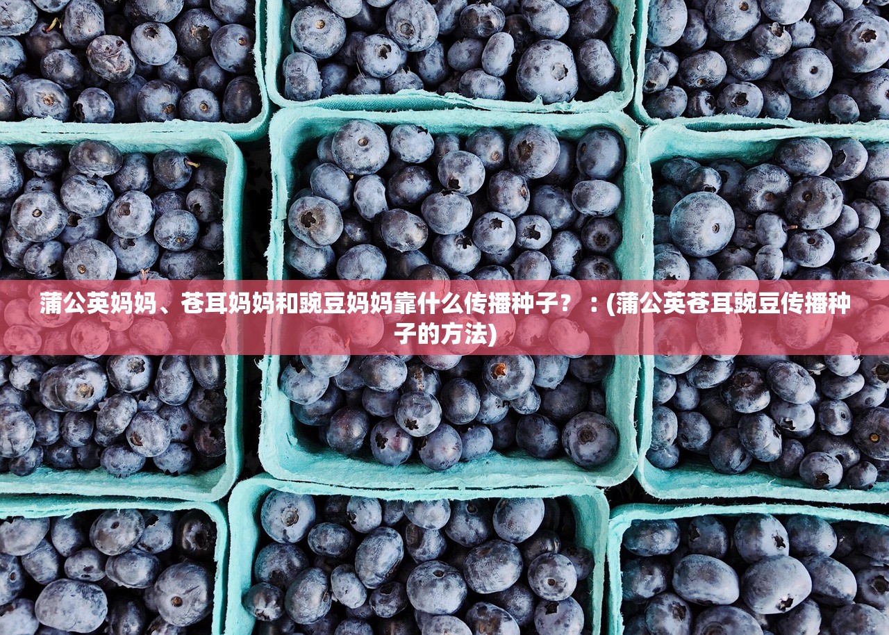 蒲公英妈妈、苍耳妈妈和豌豆妈妈靠什么传播种子？︰(蒲公英苍耳豌豆传播种子的方法)