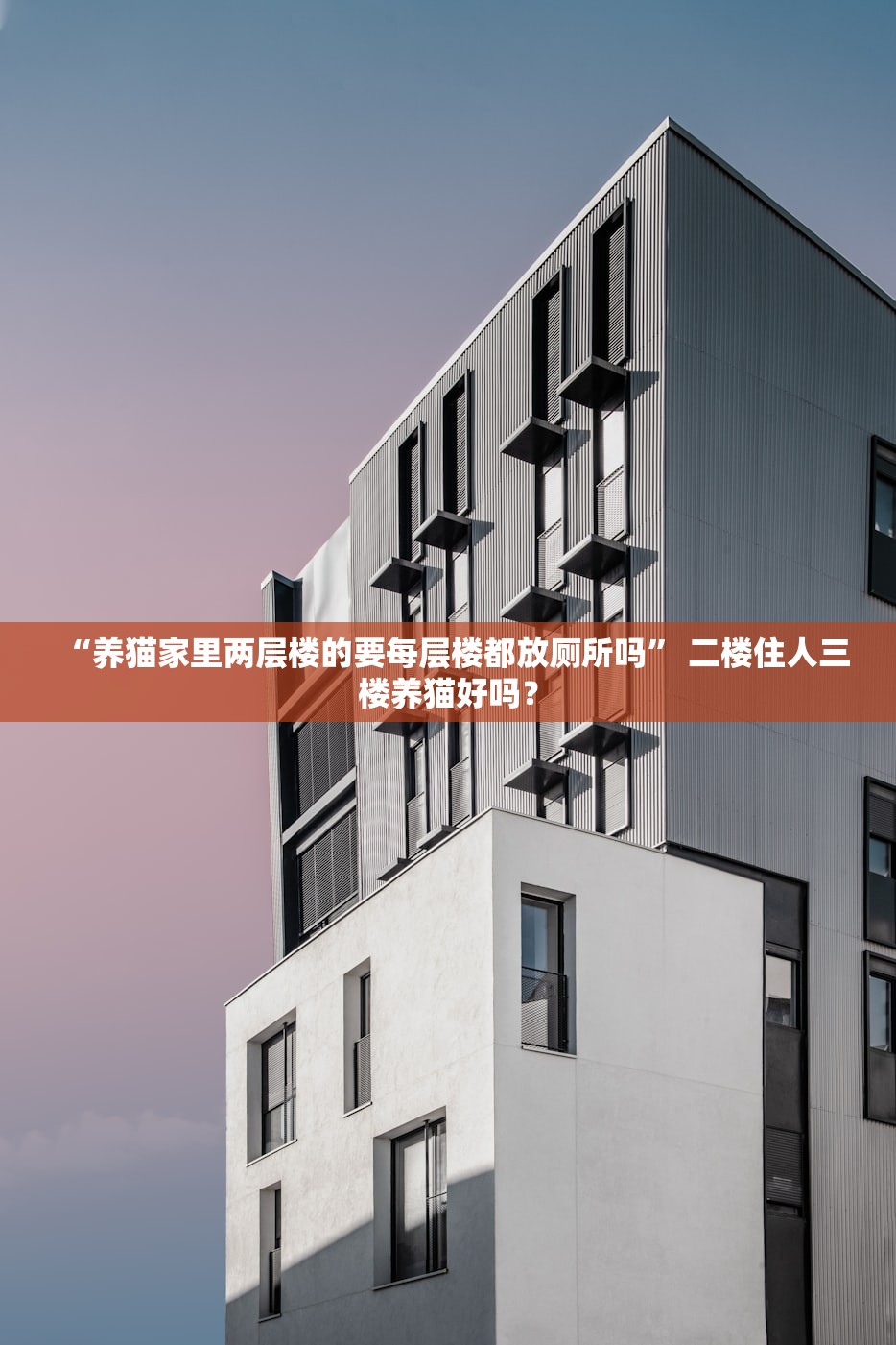 “养猫家里两层楼的要每层楼都放厕所吗” 二楼住人三楼养猫好吗？