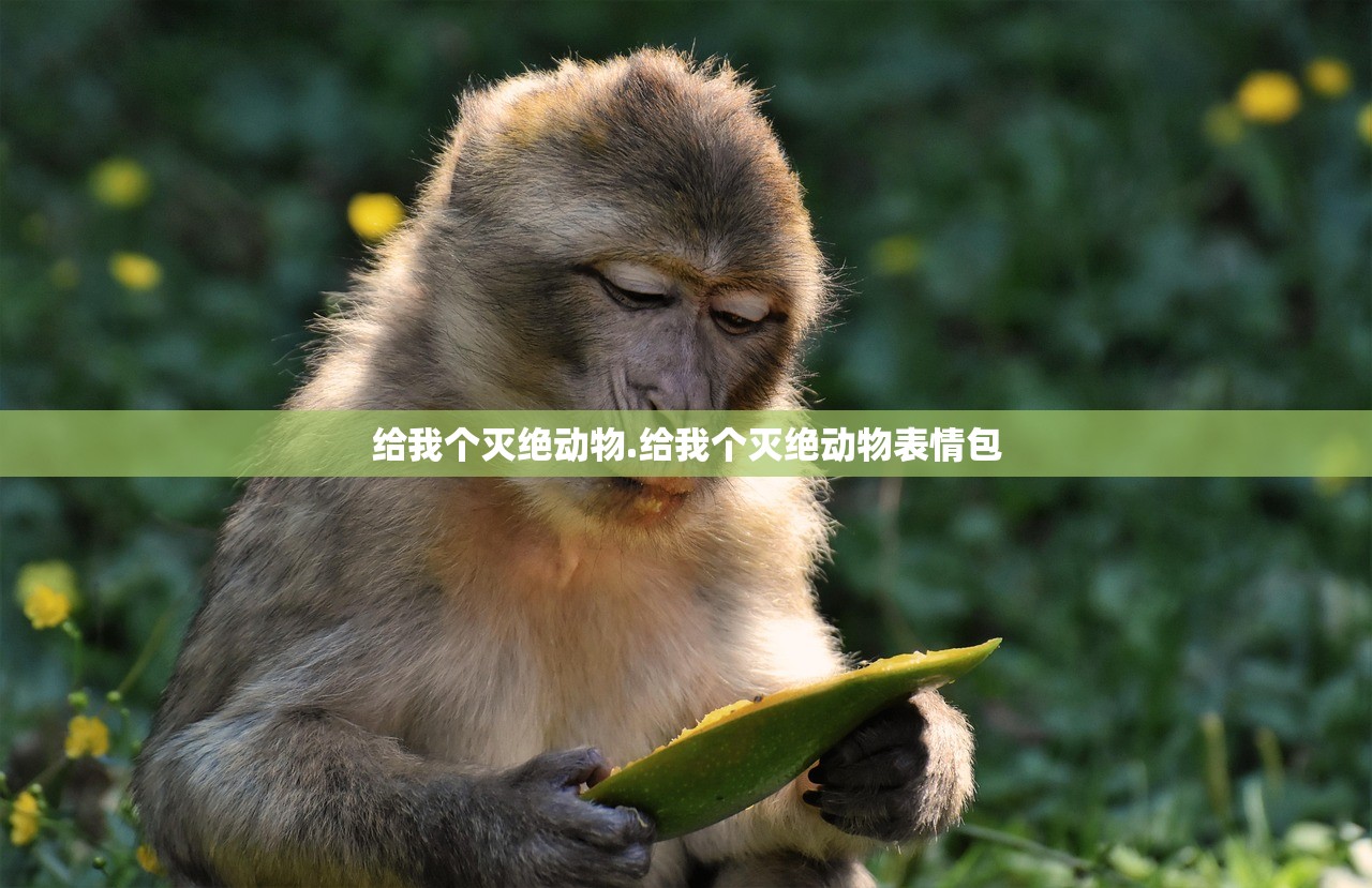 给我个灭绝动物.给我个灭绝动物表情包