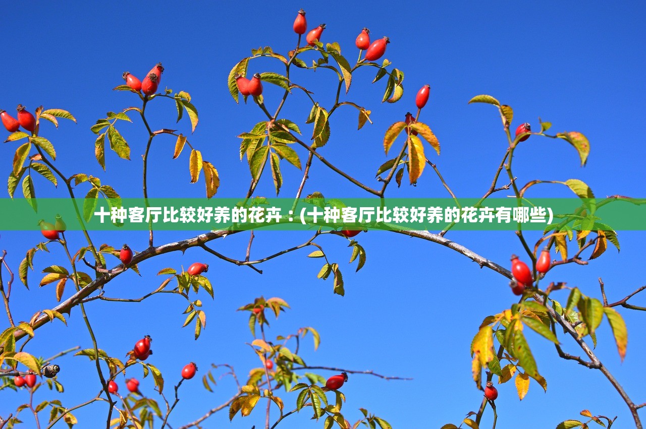 十种客厅比较好养的花卉︰(十种客厅比较好养的花卉有哪些)