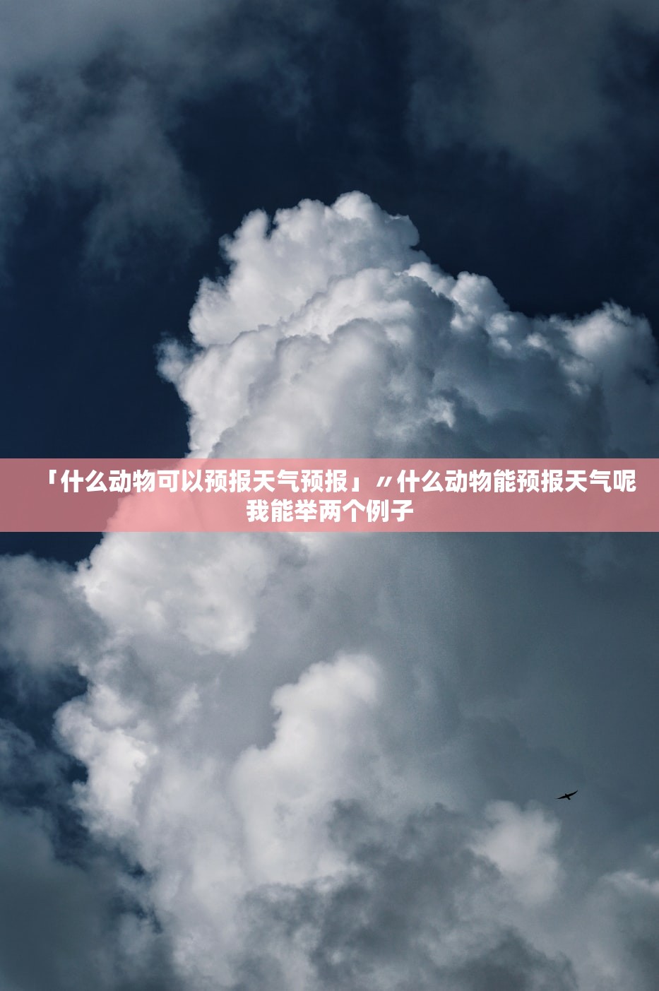 「什么动物可以预报天气预报」〃什么动物能预报天气呢我能举两个例子 「什么动物可以预报天气预报」〃什么动物能预报天气呢我能举两个例子
