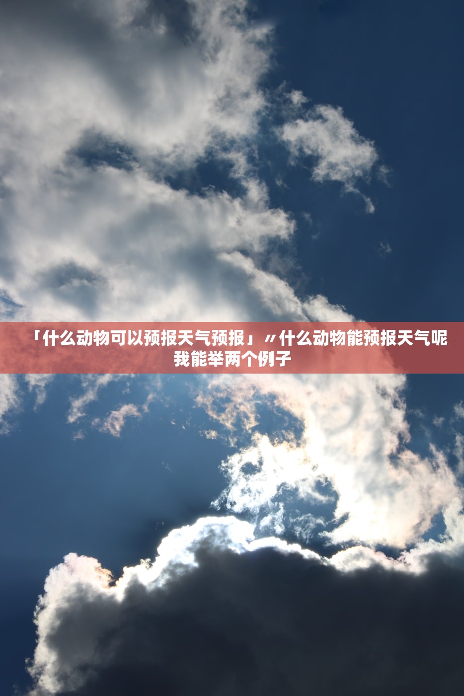 「什么动物可以预报天气预报」〃什么动物能预报天气呢我能举两个例子 「什么动物可以预报天气预报」〃什么动物能预报天气呢我能举两个例子