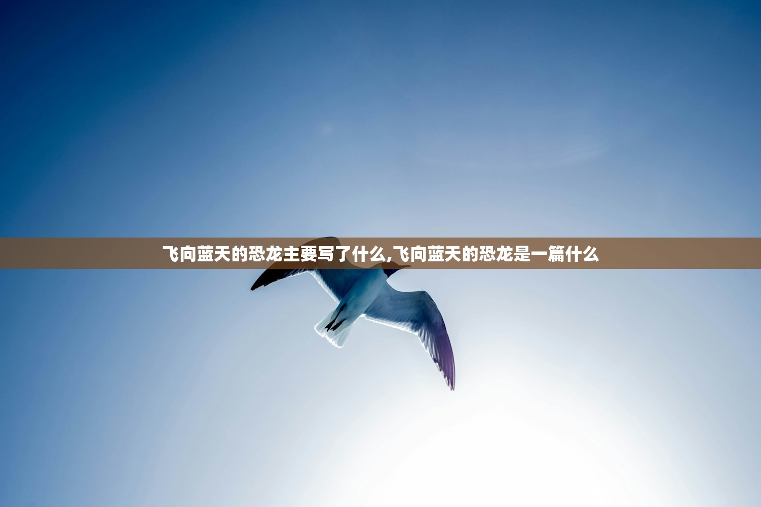 飞向蓝天的恐龙主要写了什么,飞向蓝天的恐龙是一篇什么